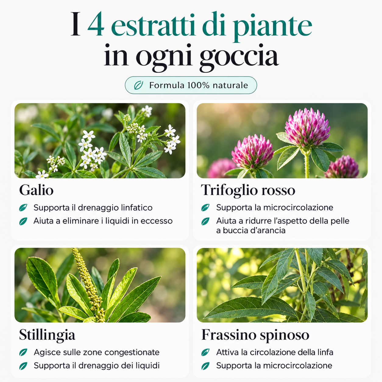 Siero Drenante Linfatico